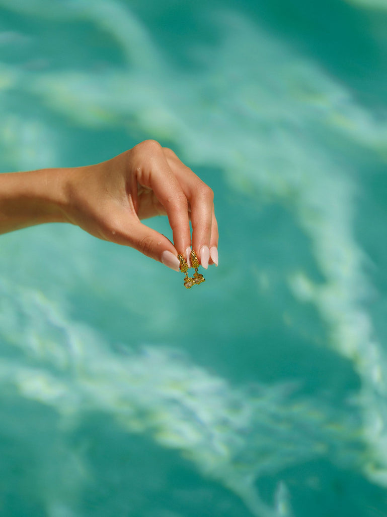 Zebra Collection