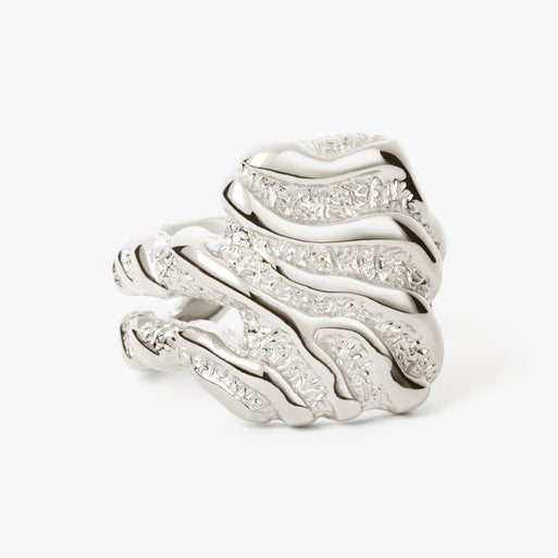 Store Zebra Ring