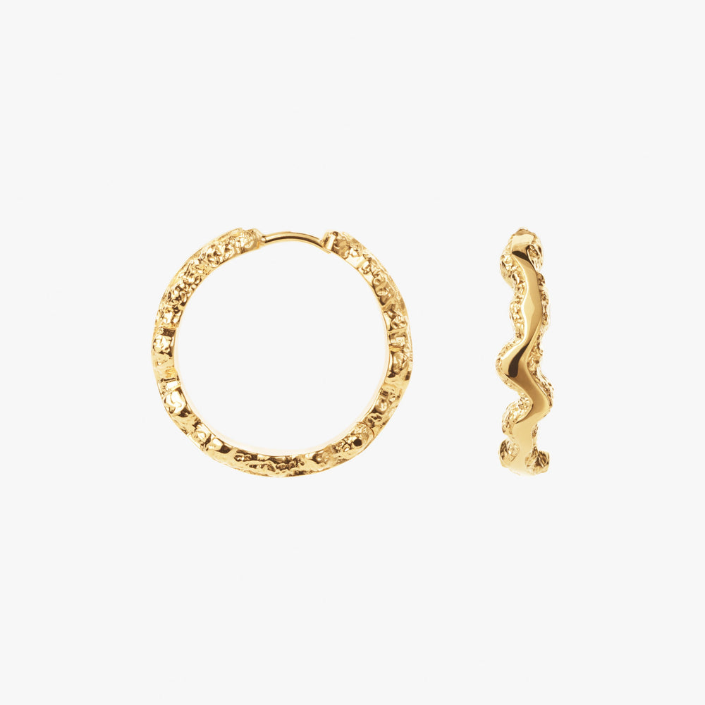 Store Shiny Sparkly Hoops