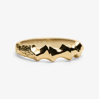 Lille Phoenix Flames Ring