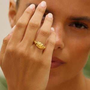 Lille Zebra Ring