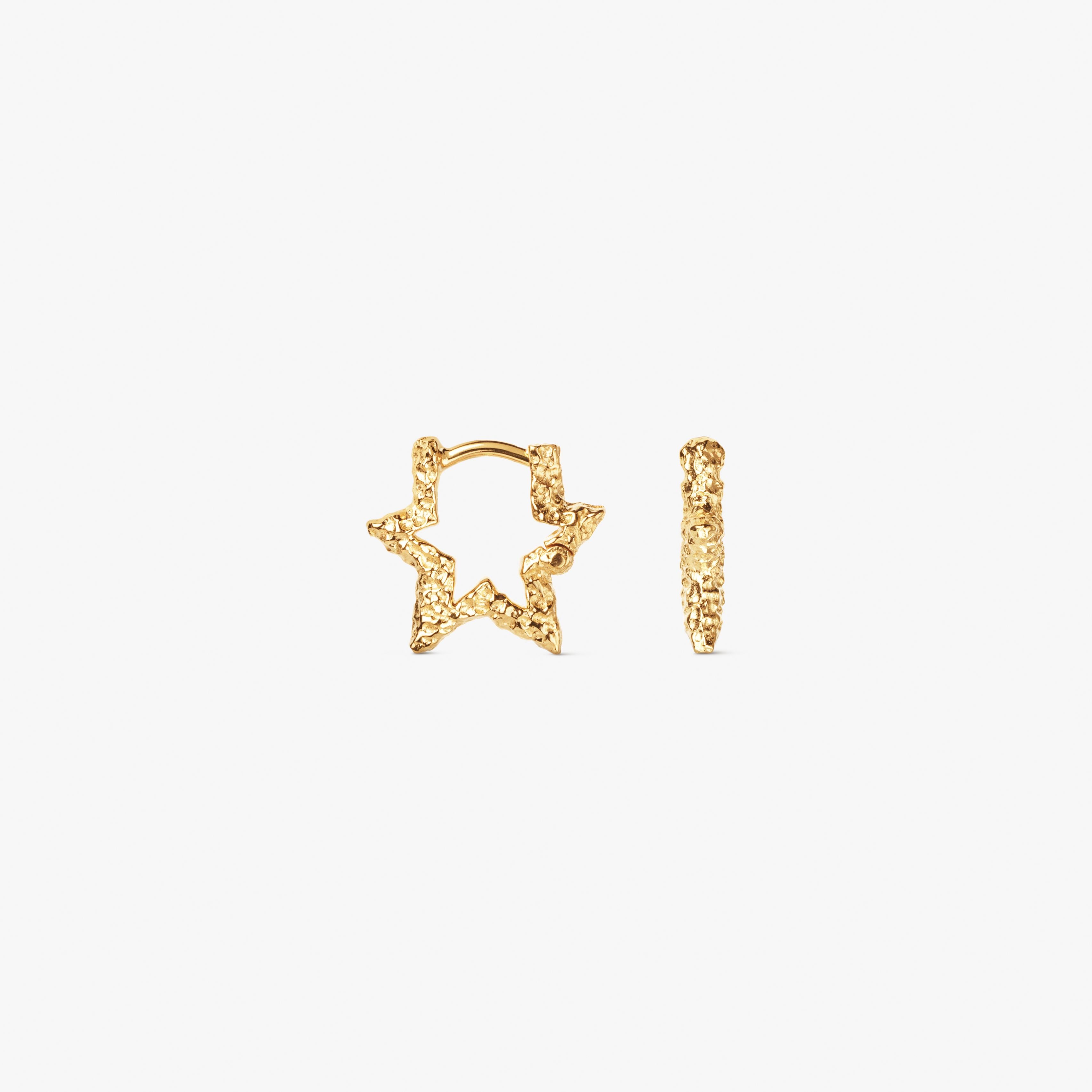 GIFT | Mini Star Sparkly Hoops