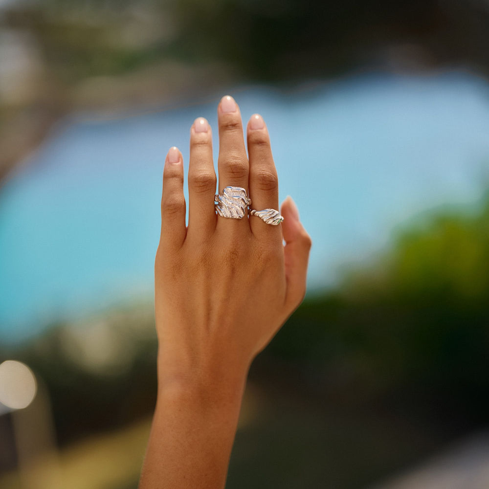 Store Zebra Ring