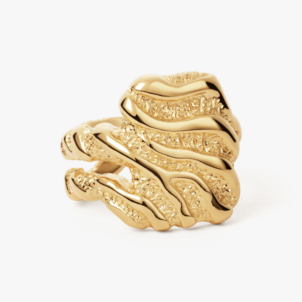 Store Zebra Ring