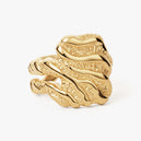 Store Zebra Ring