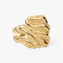 Store Zebra Ring